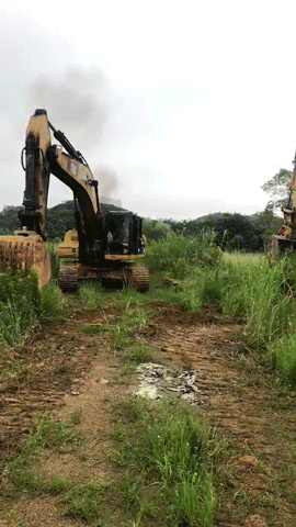 尹遙---造大美南湖，創(chuàng  )“岳陽(yáng)速度”